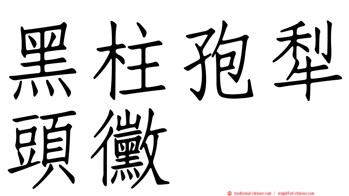 黑柱孢犁頭黴
