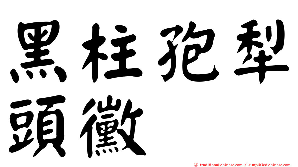 黑柱孢犁頭黴