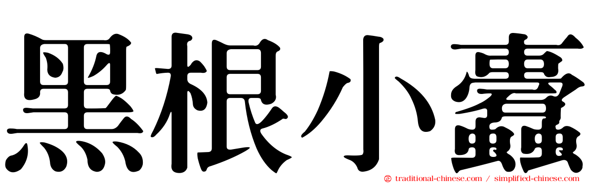 黑根小蠹