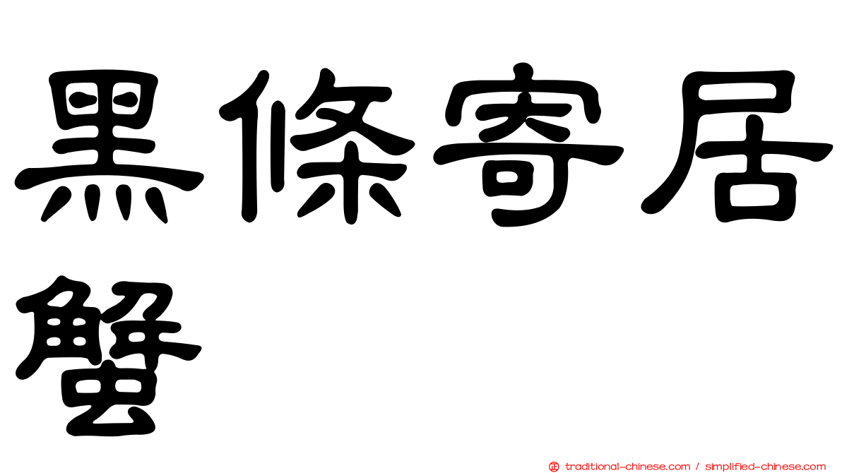 黑條寄居蟹