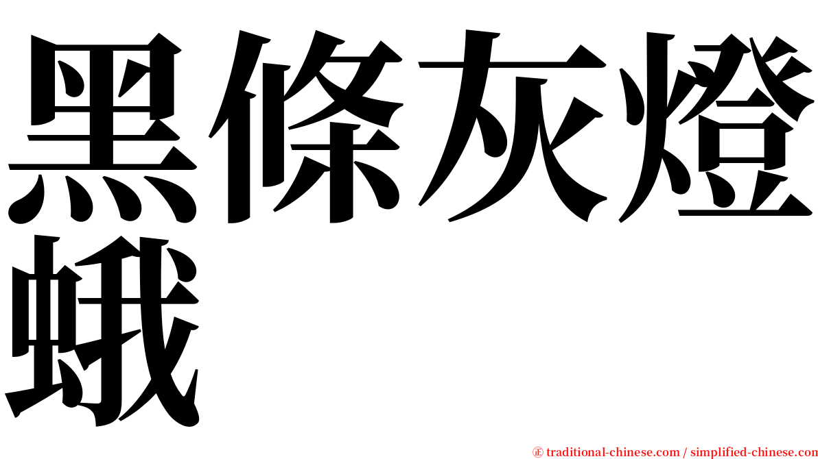 黑條灰燈蛾 serif font