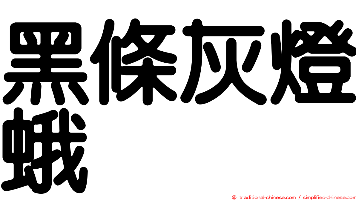 黑條灰燈蛾