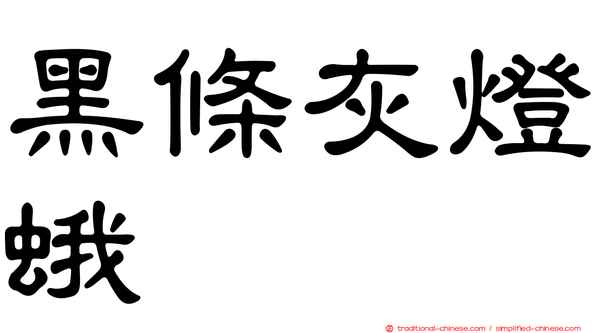 黑條灰燈蛾