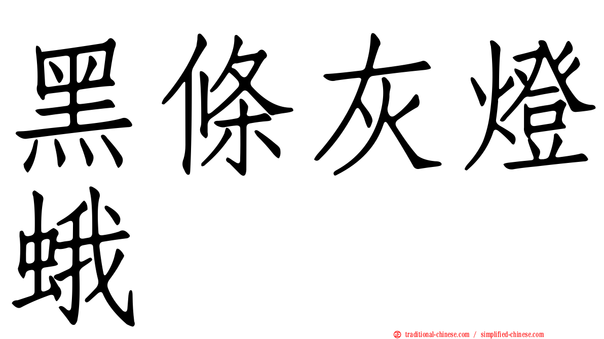 黑條灰燈蛾