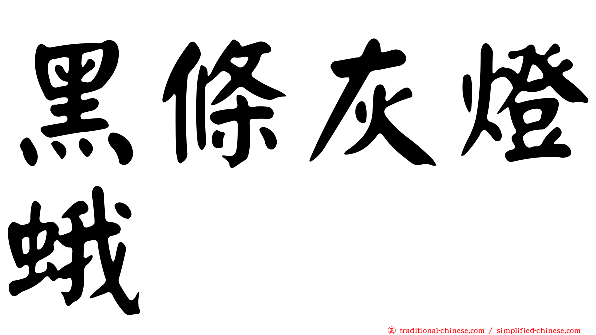 黑條灰燈蛾