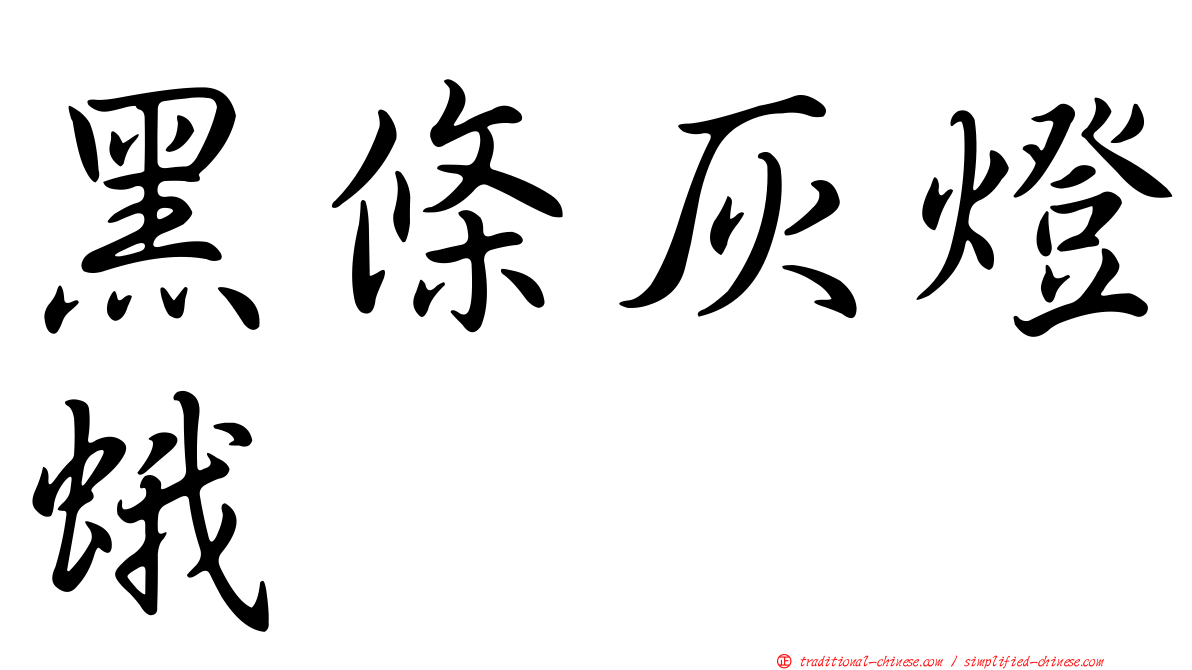 黑條灰燈蛾