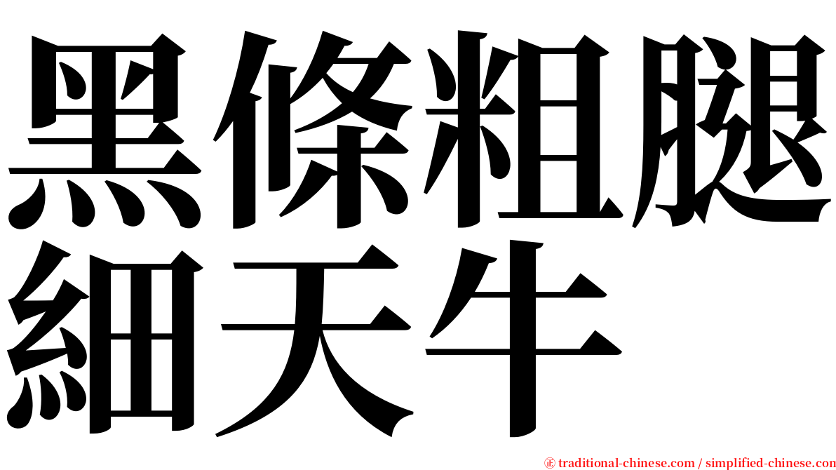 黑條粗腿細天牛 serif font