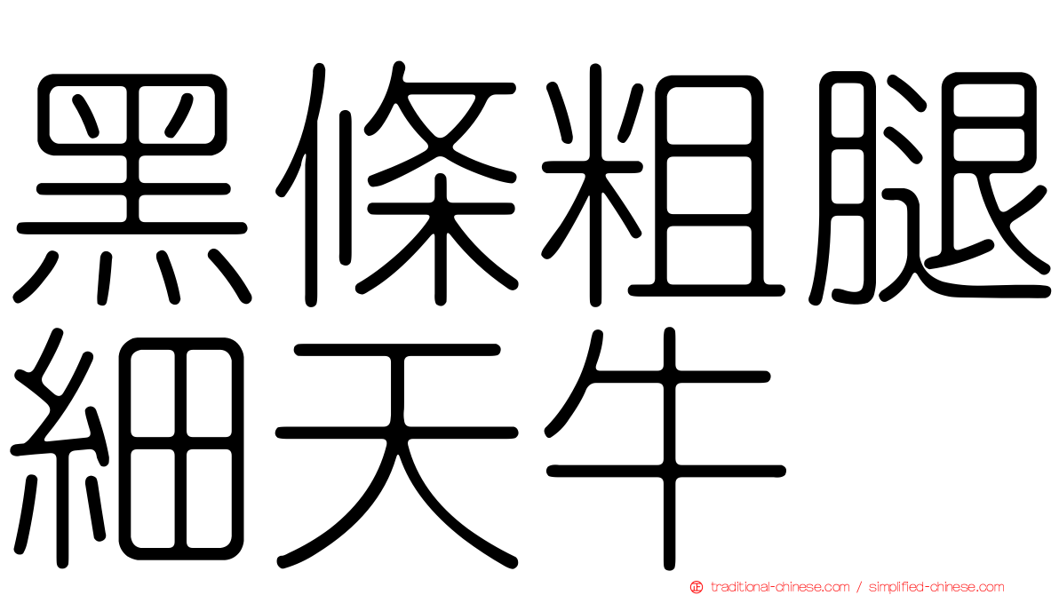 黑條粗腿細天牛