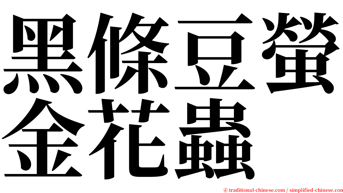 黑條豆螢金花蟲 serif font