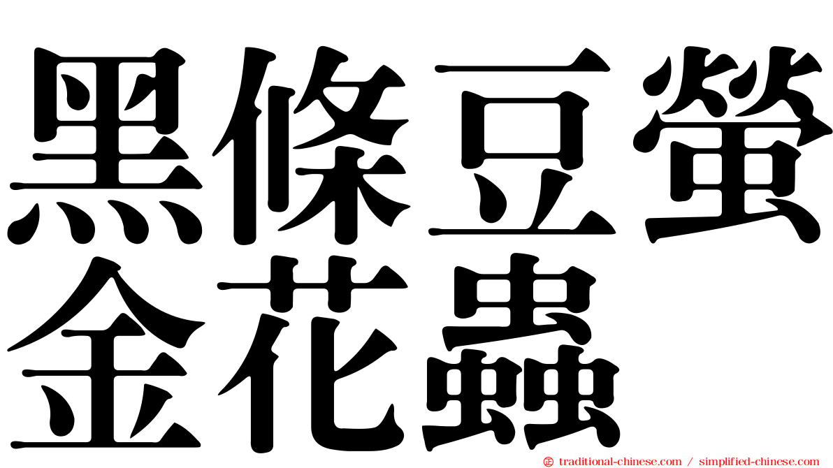 黑條豆螢金花蟲