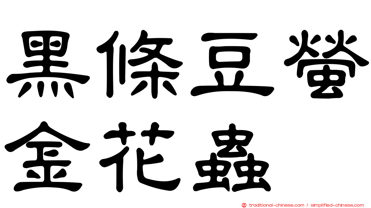黑條豆螢金花蟲