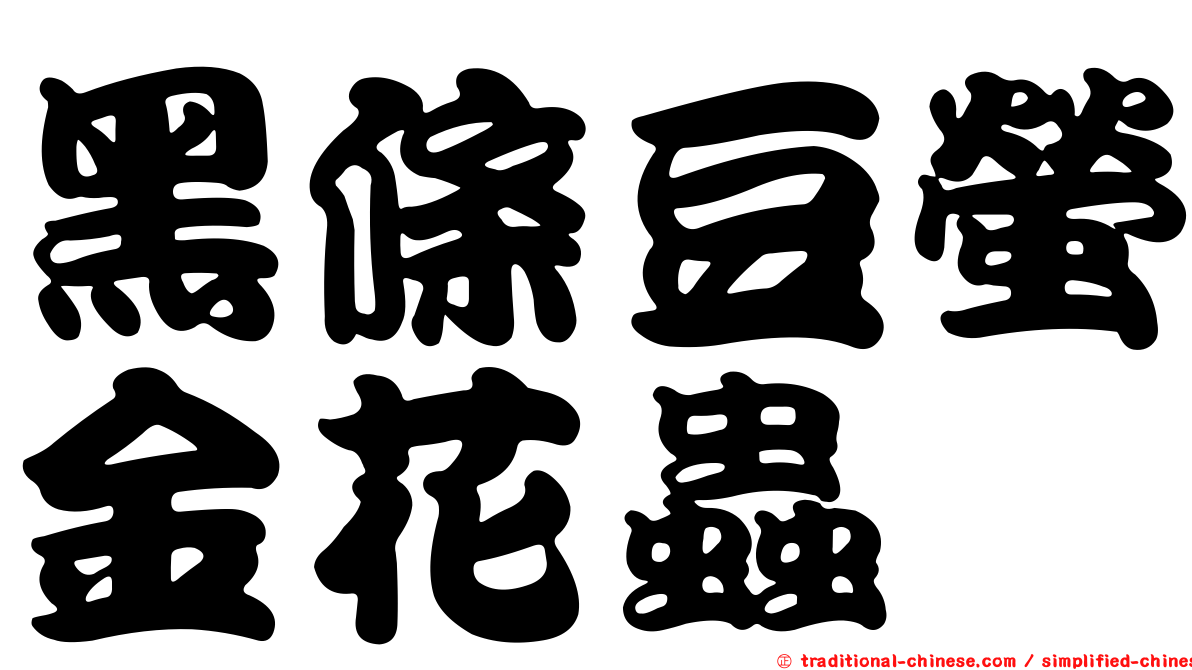 黑條豆螢金花蟲
