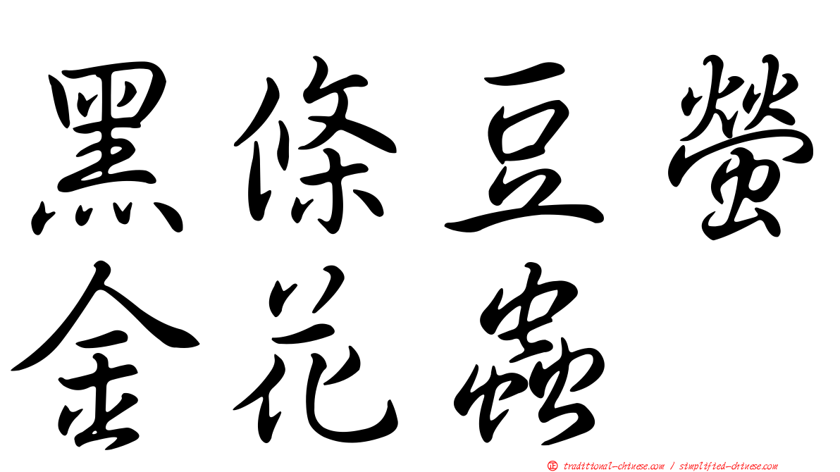 黑條豆螢金花蟲