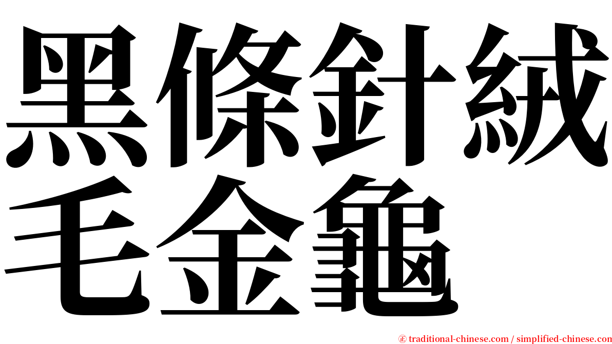 黑條針絨毛金龜 serif font