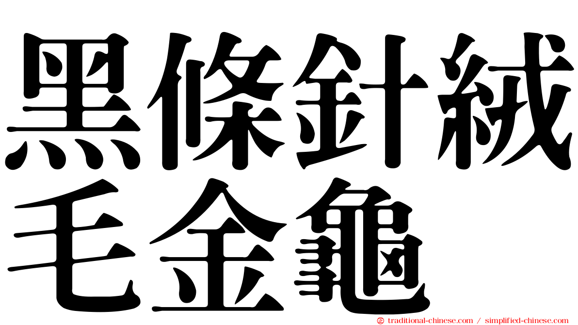 黑條針絨毛金龜