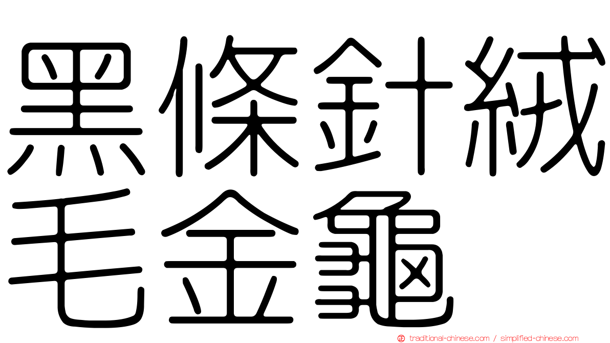 黑條針絨毛金龜