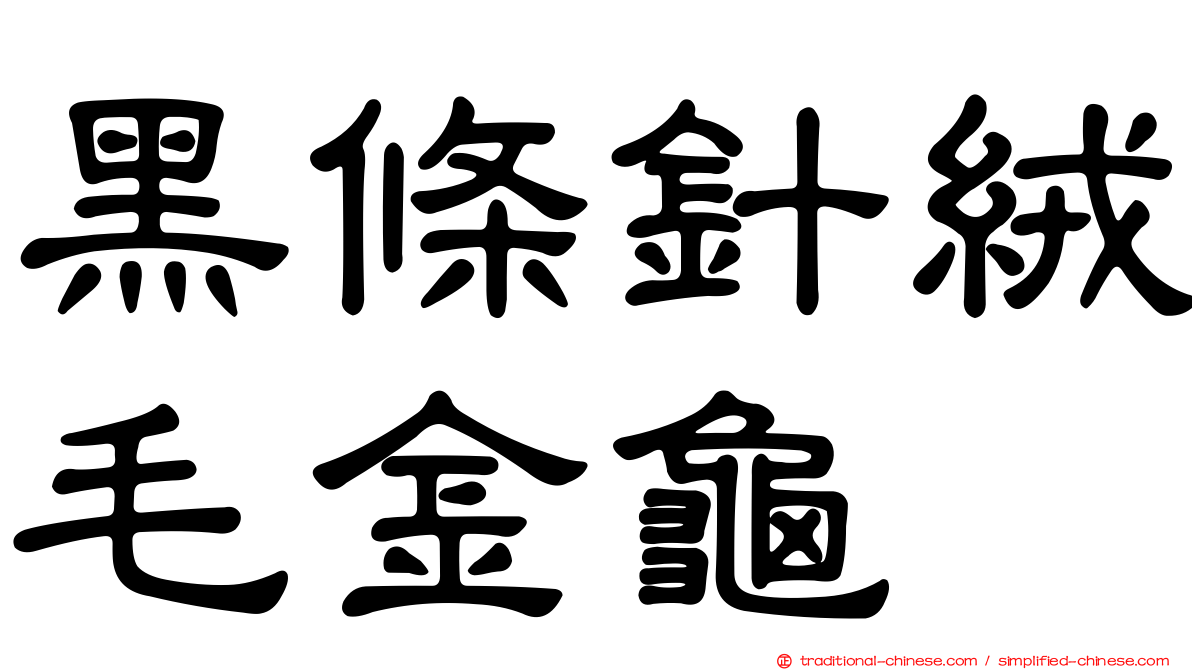 黑條針絨毛金龜