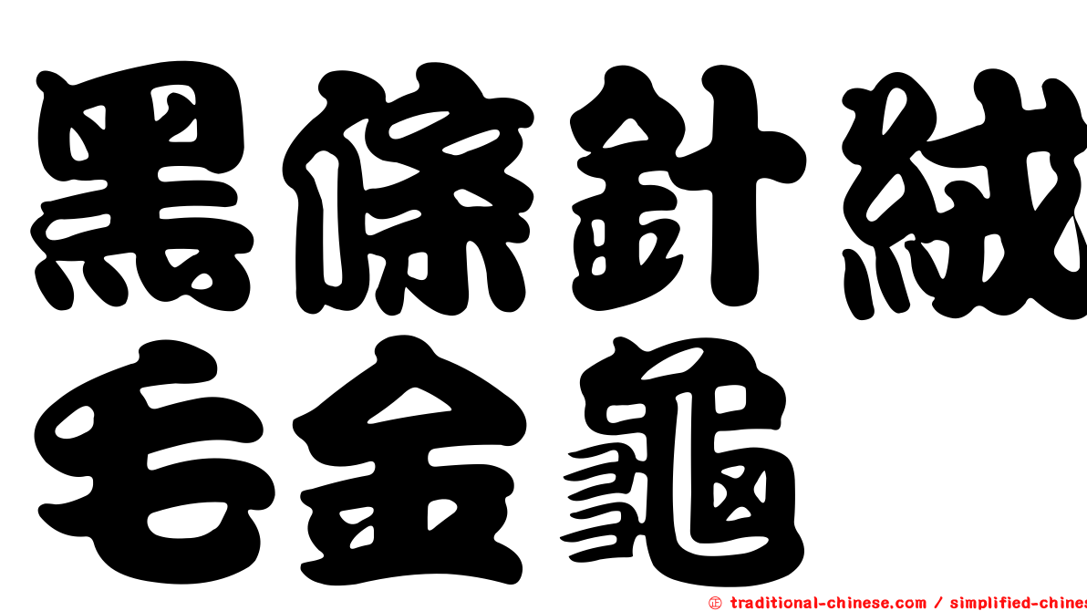 黑條針絨毛金龜