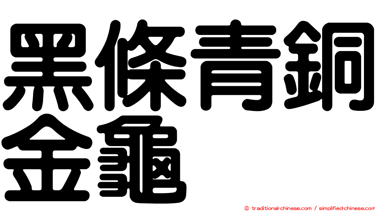 黑條青銅金龜