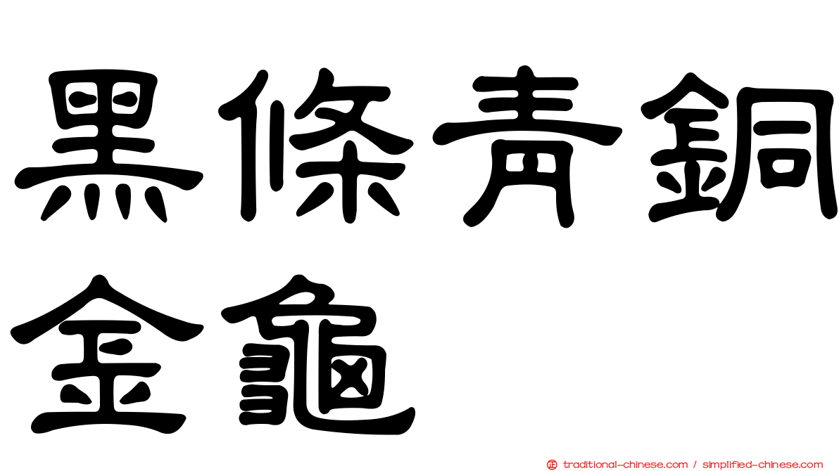 黑條青銅金龜