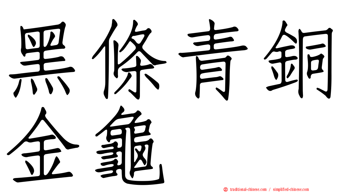 黑條青銅金龜