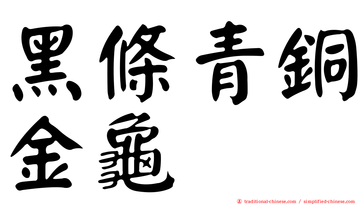 黑條青銅金龜
