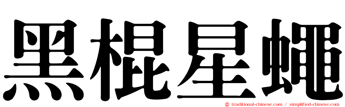 黑棍星蠅