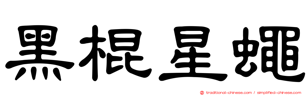 黑棍星蠅