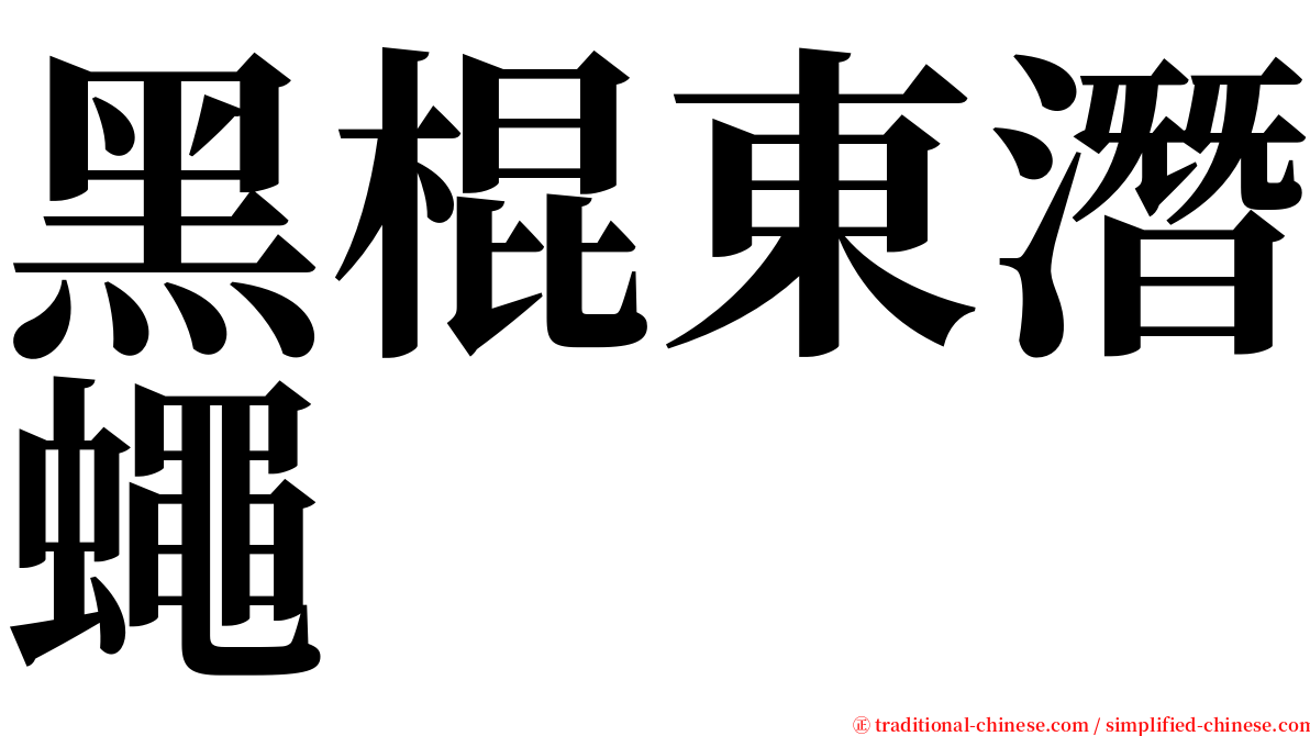 黑棍東潛蠅 serif font