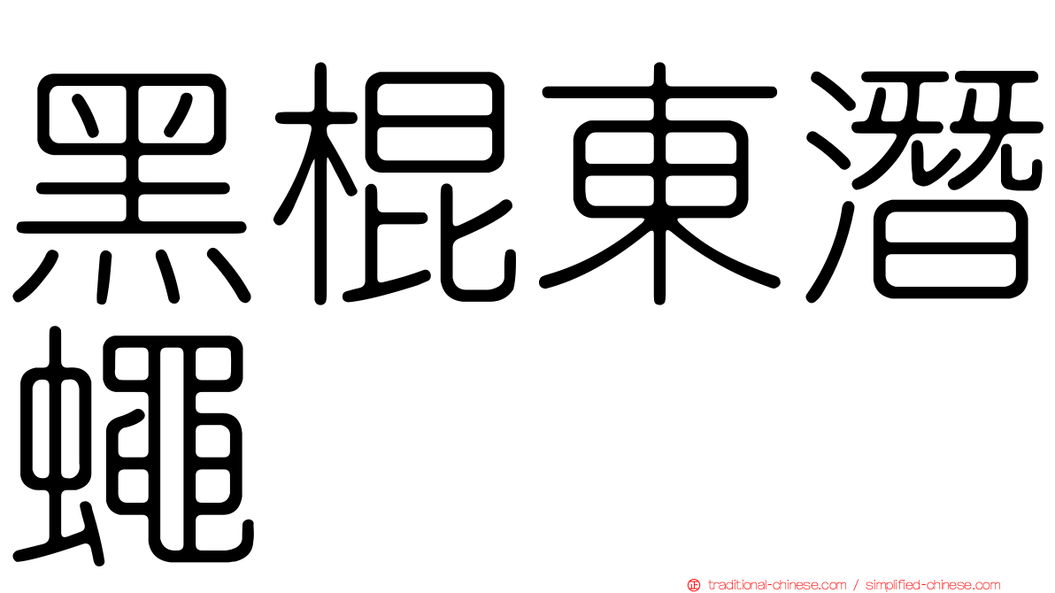 黑棍東潛蠅