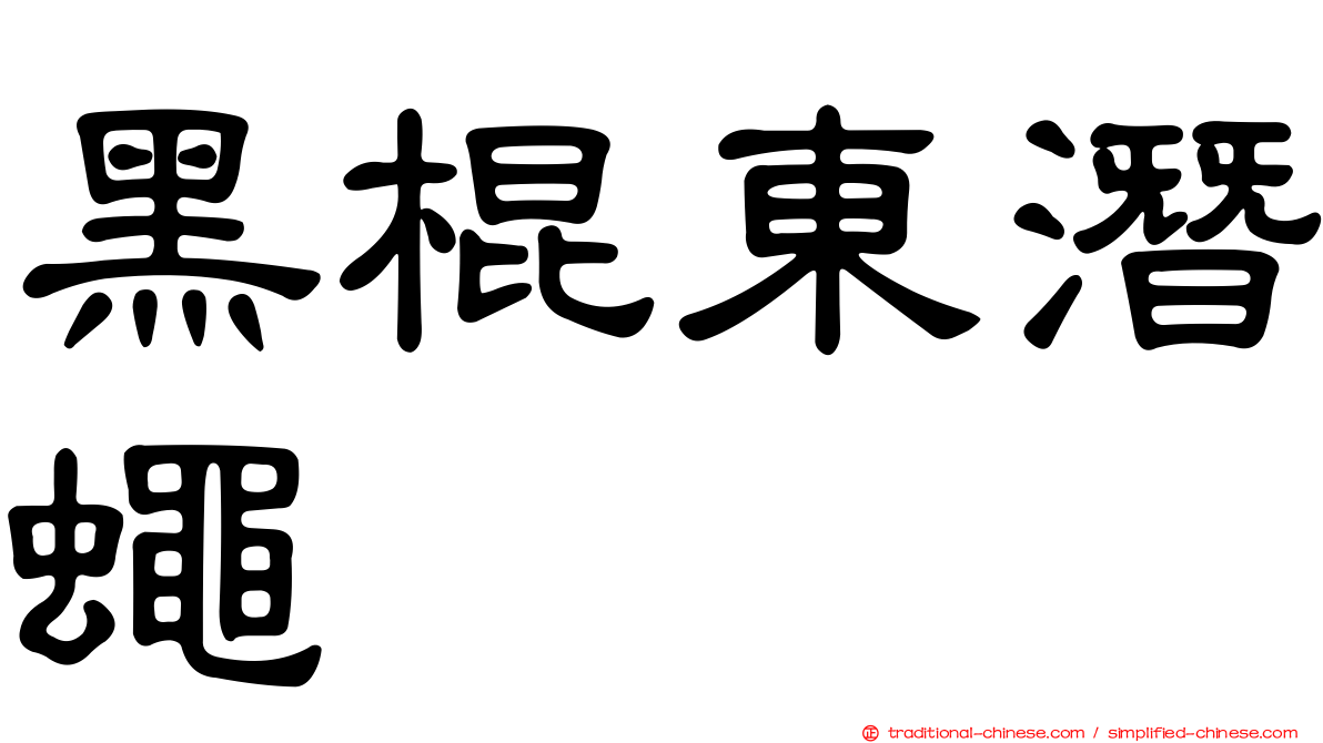 黑棍東潛蠅