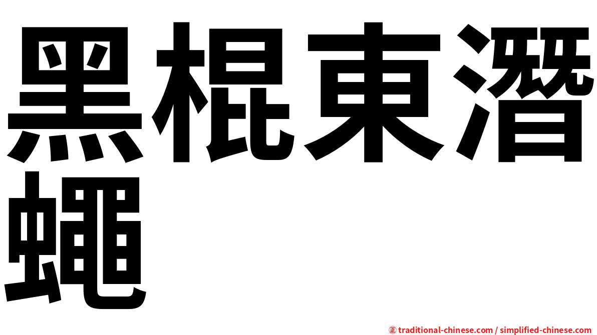 黑棍東潛蠅