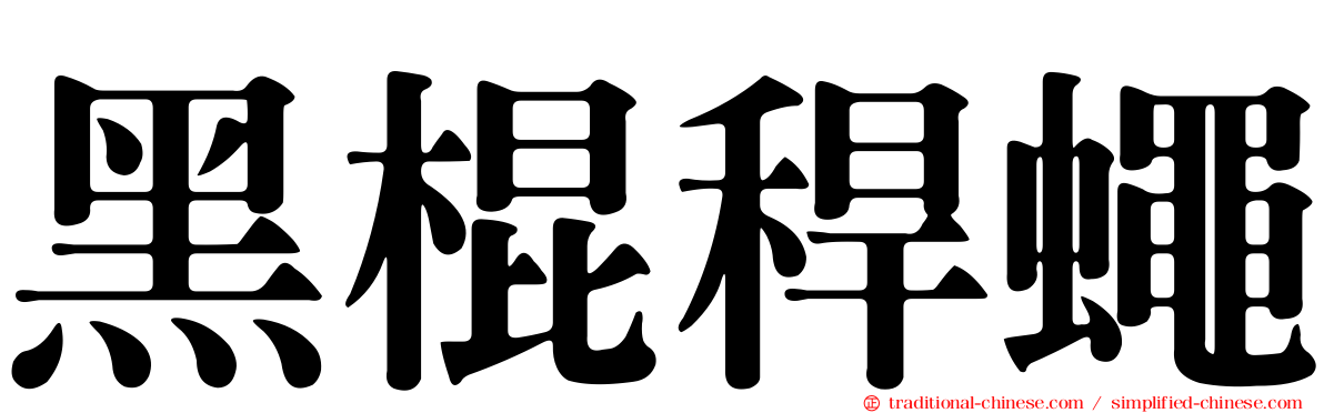 黑棍稈蠅
