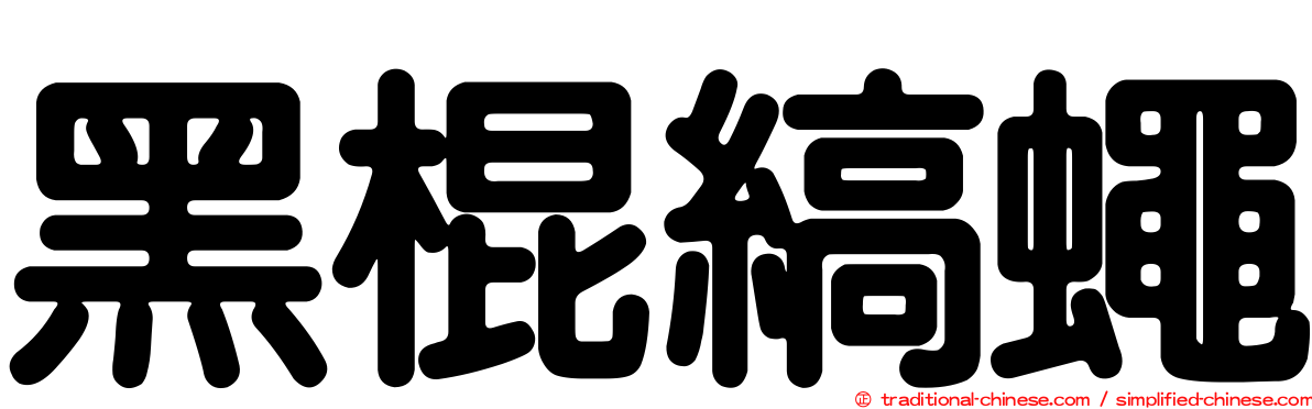 黑棍縞蠅