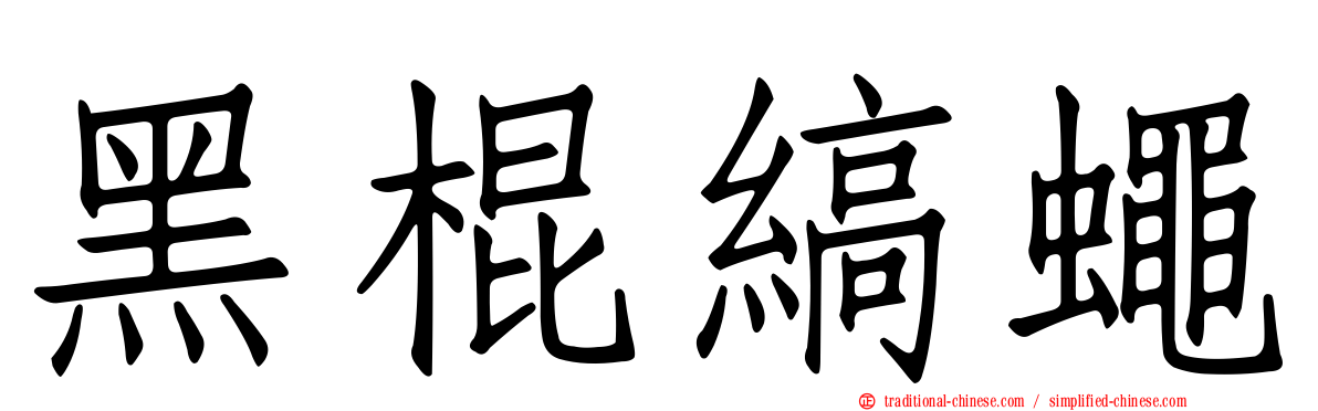 黑棍縞蠅