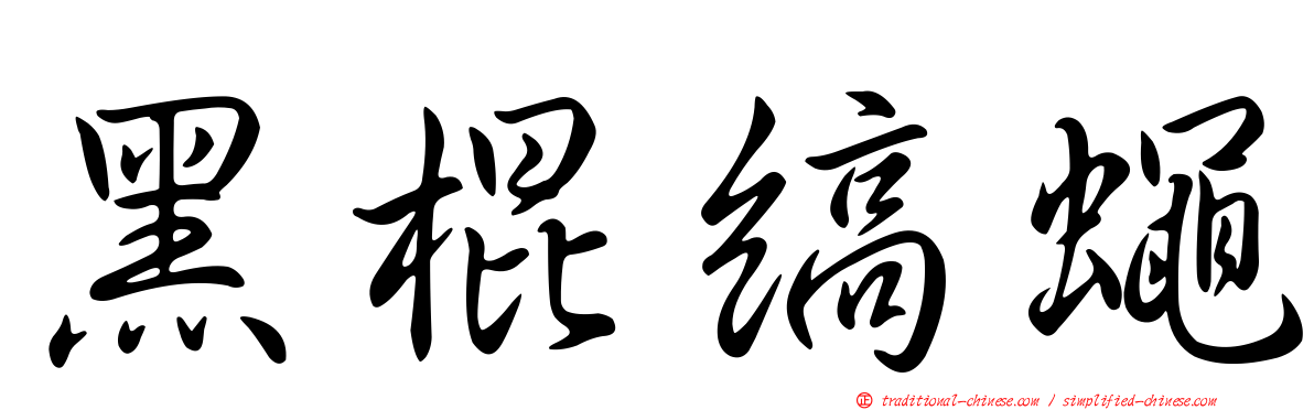 黑棍縞蠅