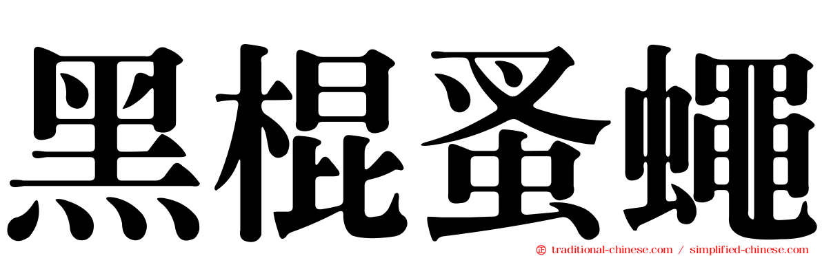 黑棍蚤蠅