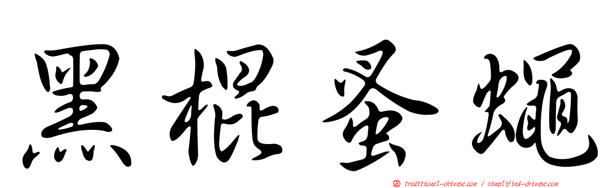 黑棍蚤蠅