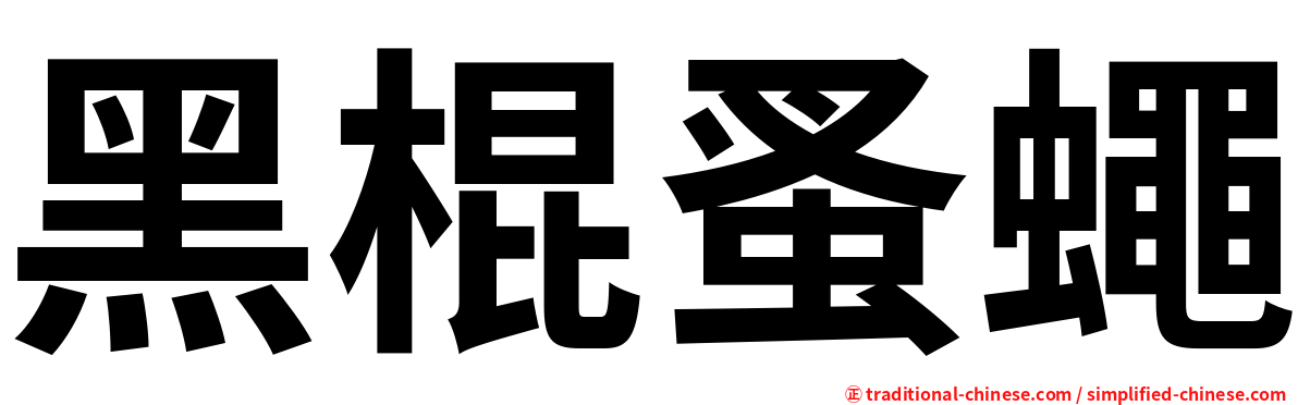 黑棍蚤蠅