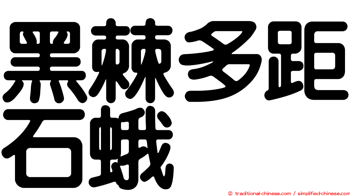 黑棘多距石蛾