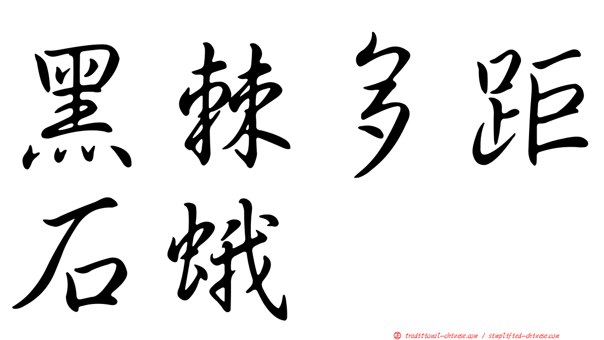 黑棘多距石蛾