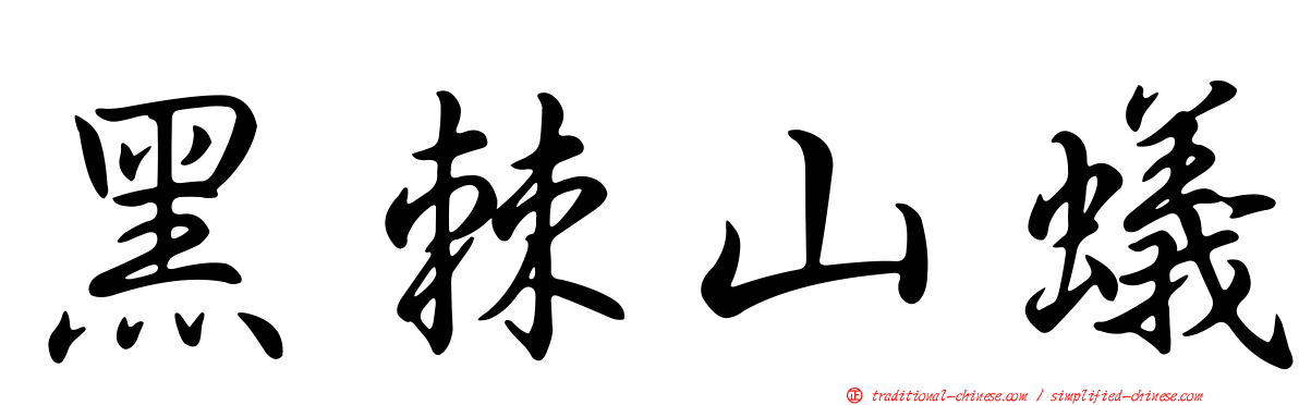 黑棘山蟻