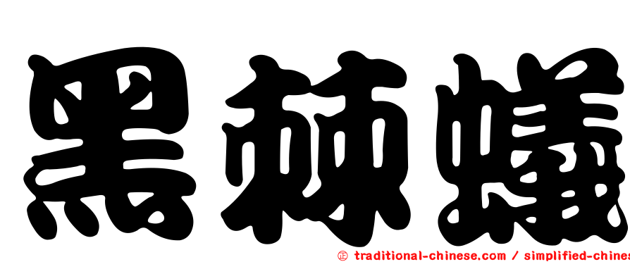 黑棘蟻