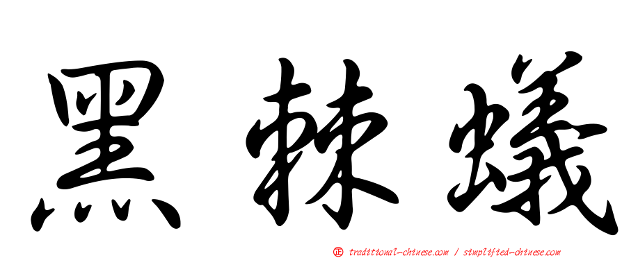 黑棘蟻