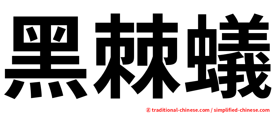 黑棘蟻