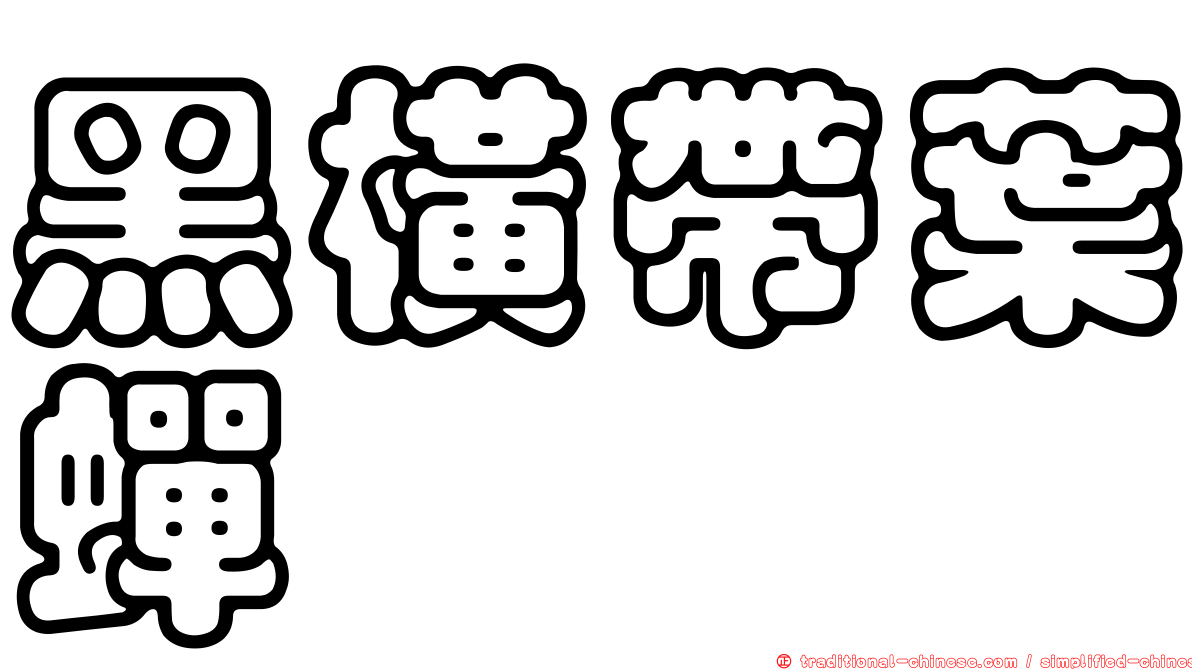 黑橫帶葉蟬