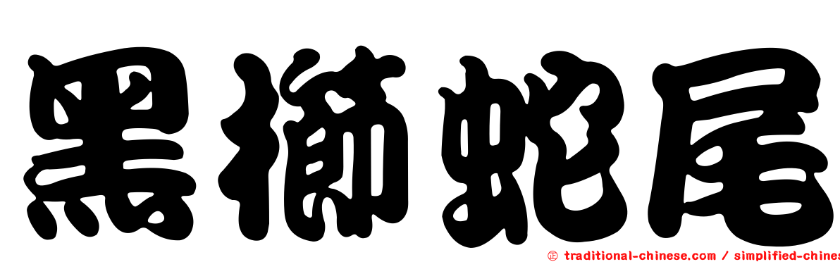 黑櫛蛇尾