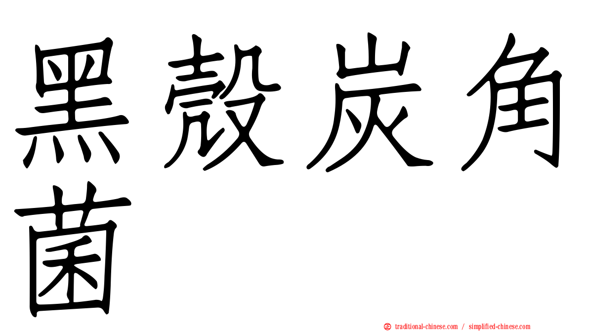 黑殼炭角菌