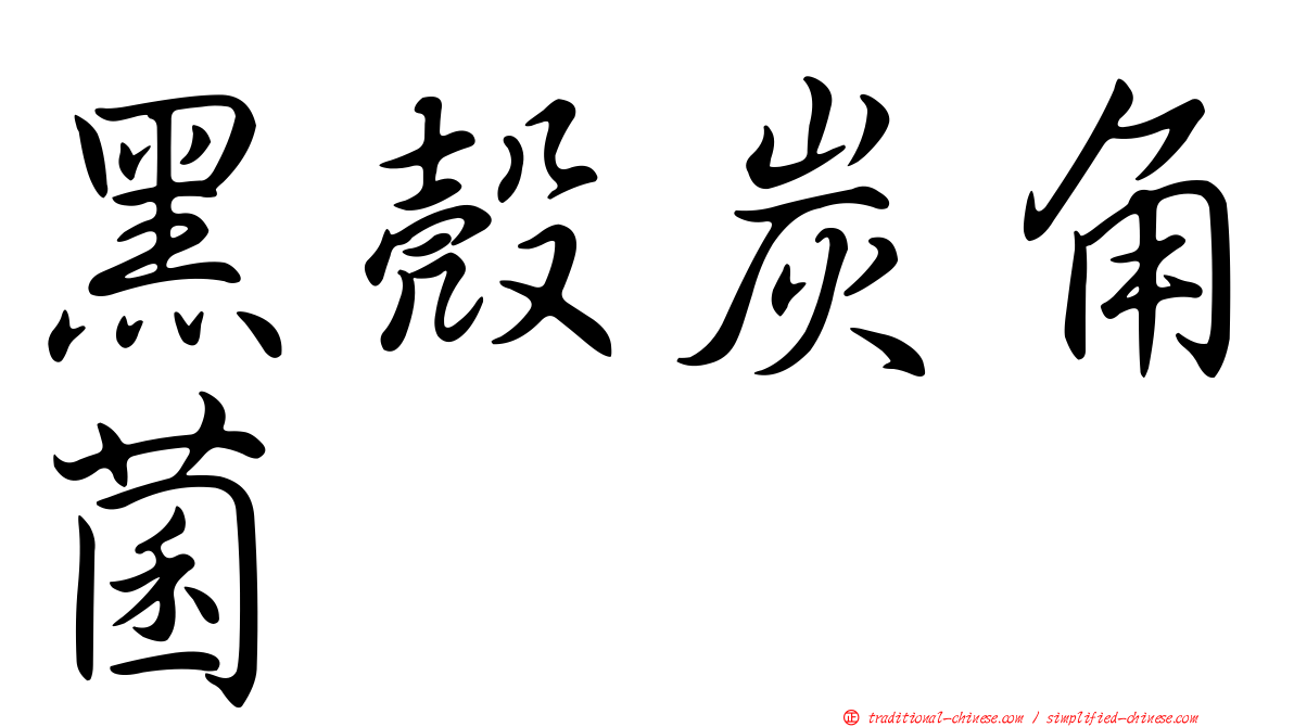 黑殼炭角菌