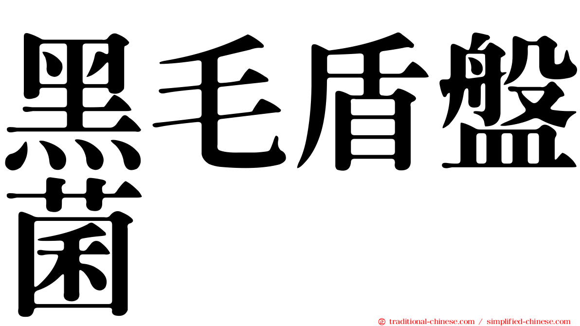 黑毛盾盤菌